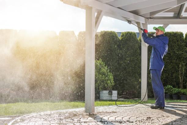 Best Sidewalk and Walkway Cleaning  in Warren, IN