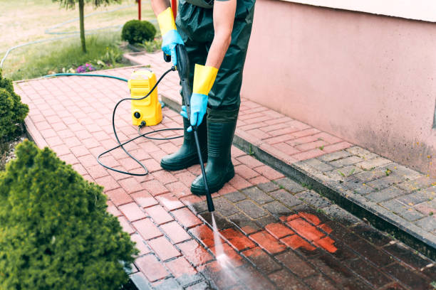 Best Animal Enclosure Cleaning  in Warren, IN