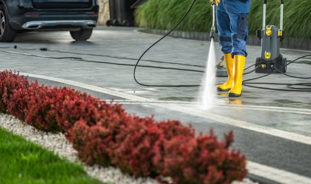 Best House Exterior Washing  in Warren, IN